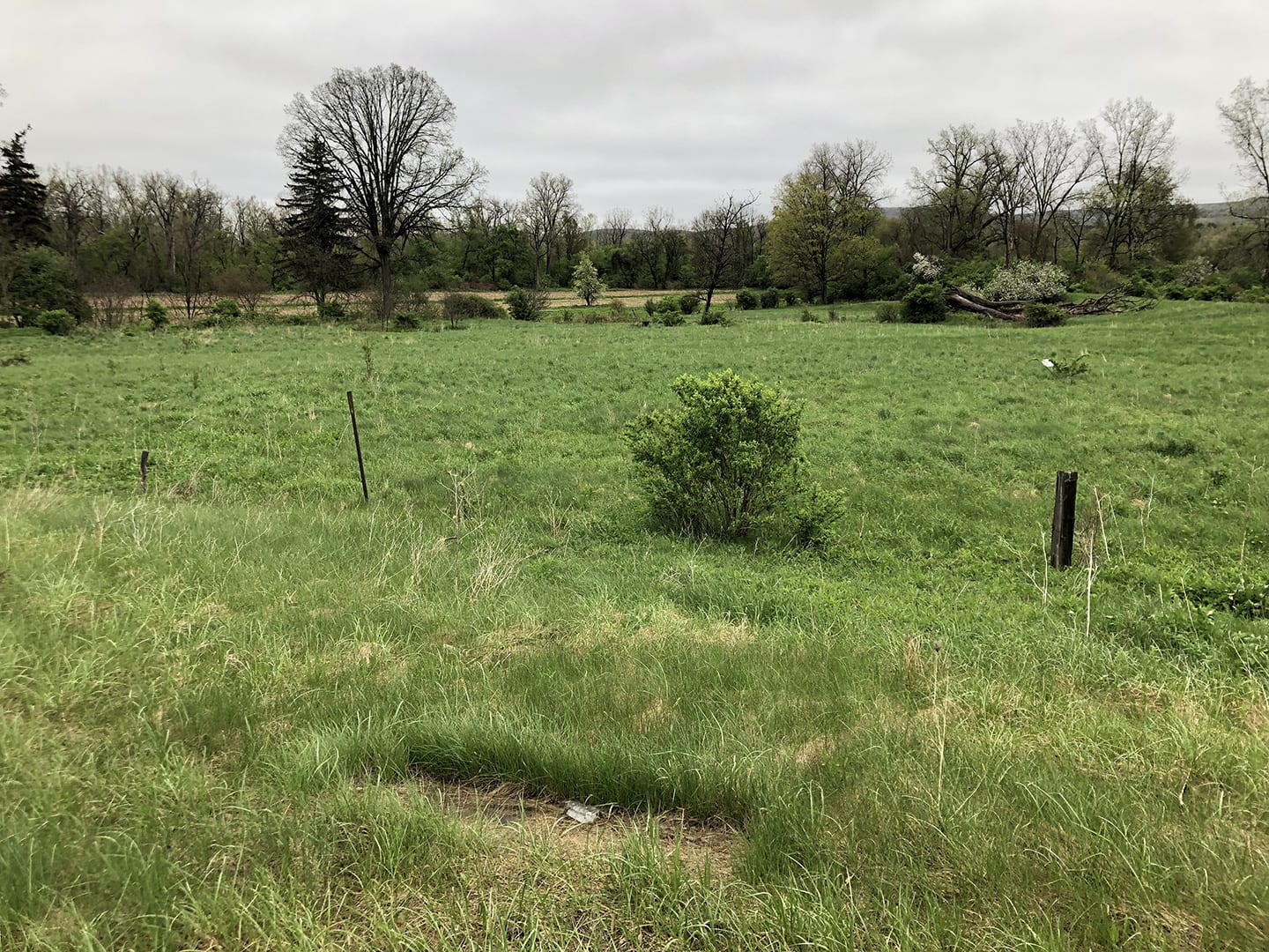 3 acres Commercial Lot in Angelica NY State Route 19 NY LandQuest