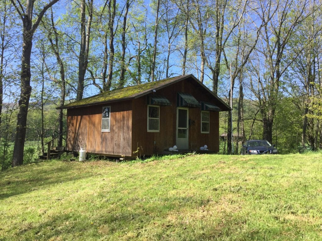 13 Acres Cabin In Danby Ny Station Road Near Ithaca Ny Landquest
