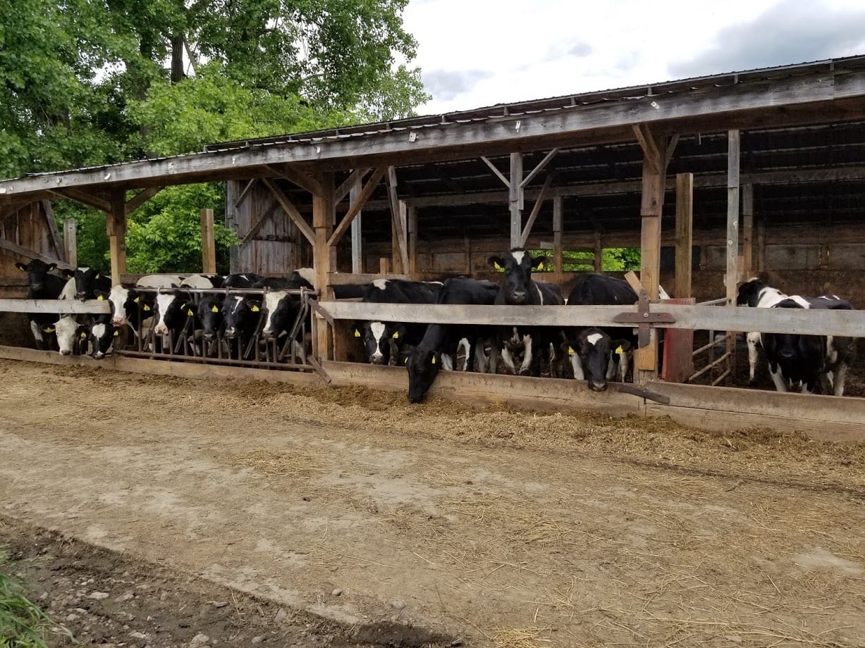 545 acre Farm in Candor NY 66 Honeypot Road with Owner Financing NY