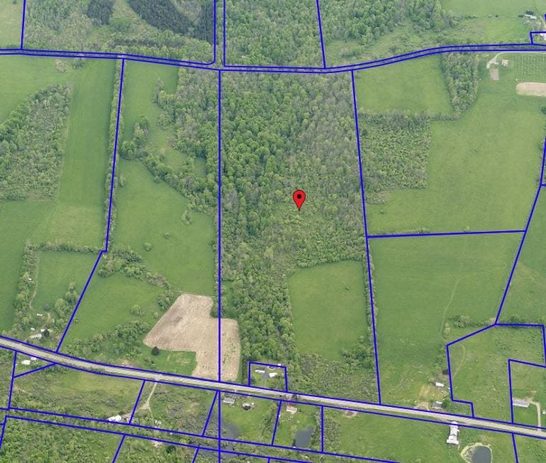 55 acres Farm Fields Stream and Woodlands in Cincinnatus NY Route 41