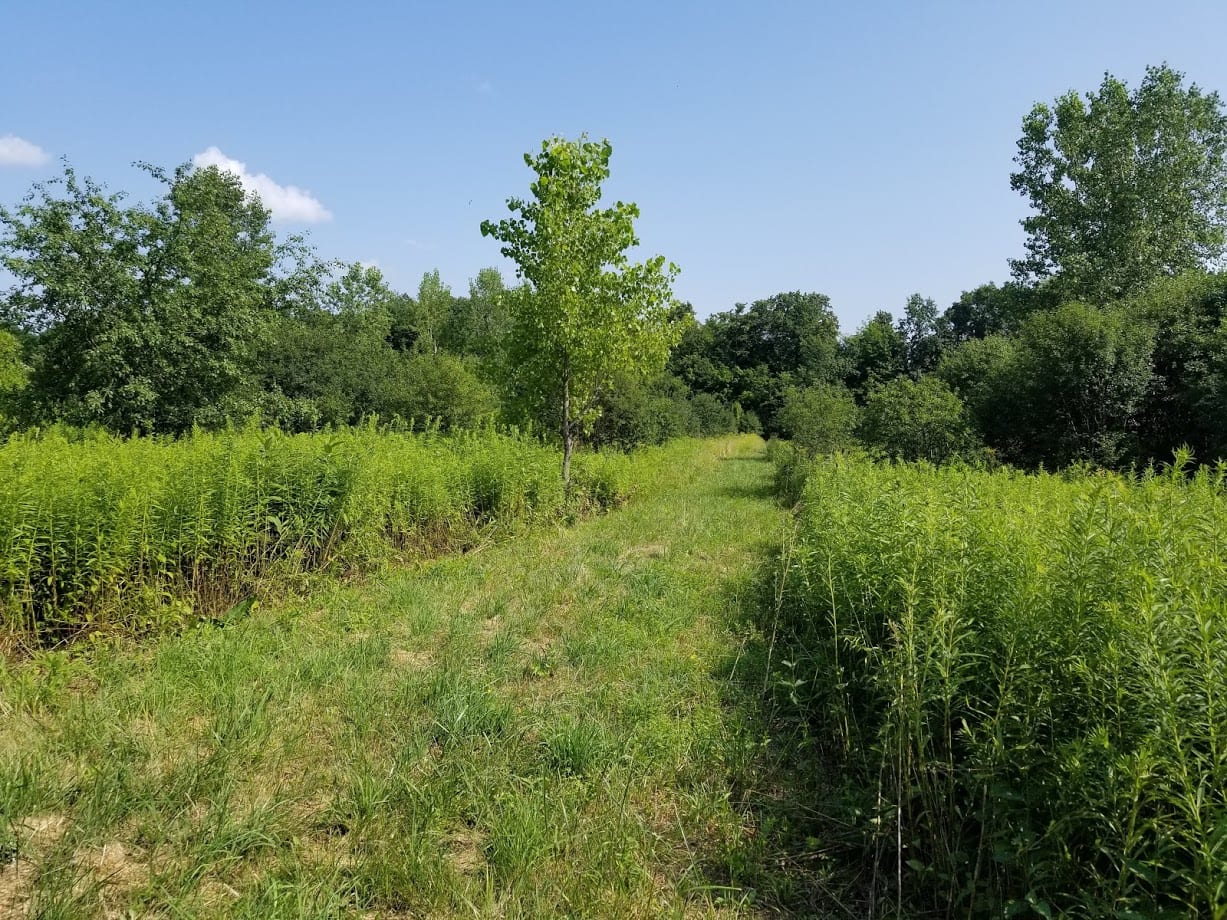 5 acres Building Lot with Cayuga Lake access near King Ferry NY Oberon Drive NY LandQuest NY