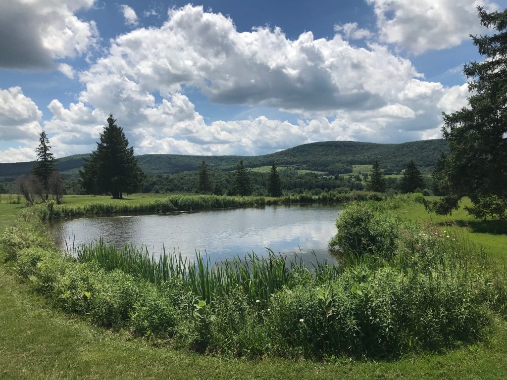 12 acres Building Lot bordering Dryden Lake in the Finger Lakes Region