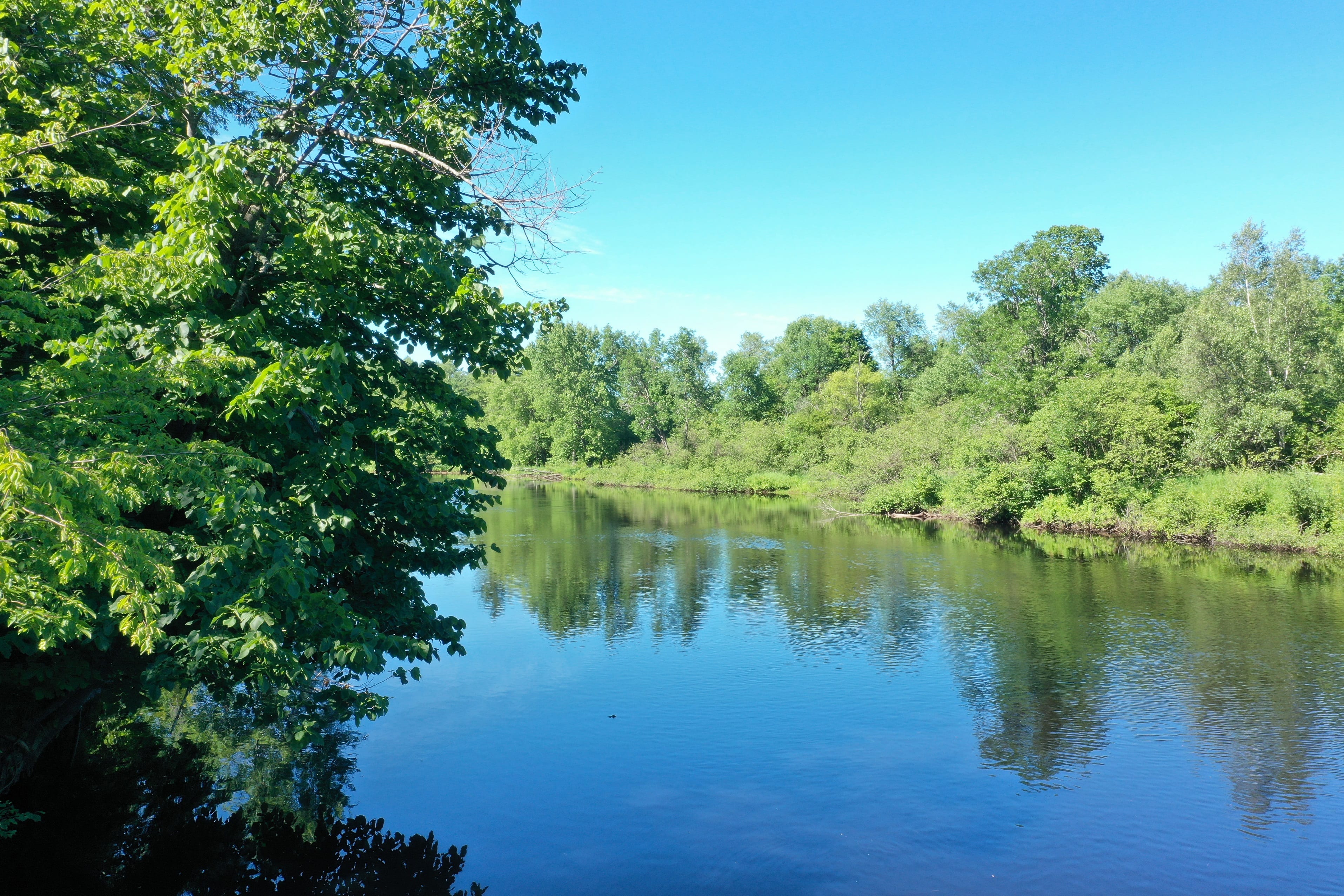 3 acres on the West Branch of the Oswegatchie River in Harrisville NY