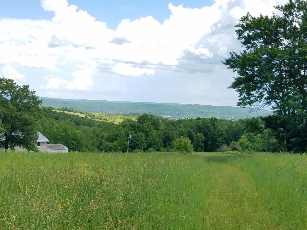 79 acres Timberland and Camp with Owner Financing in Lindley NY 37 Swan