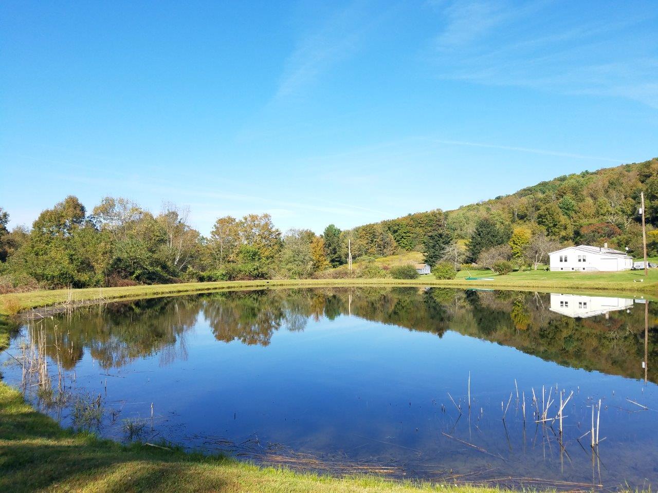 64 acres House overlooking a Pond in Pine City NY 11962 Birch Creek