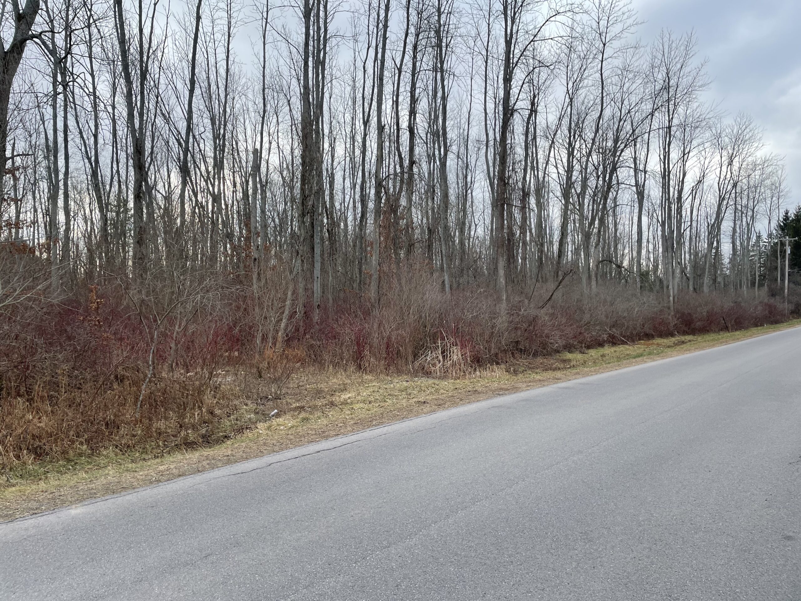 New York Land Quest 2 acres Private Building Lot in Holley NY