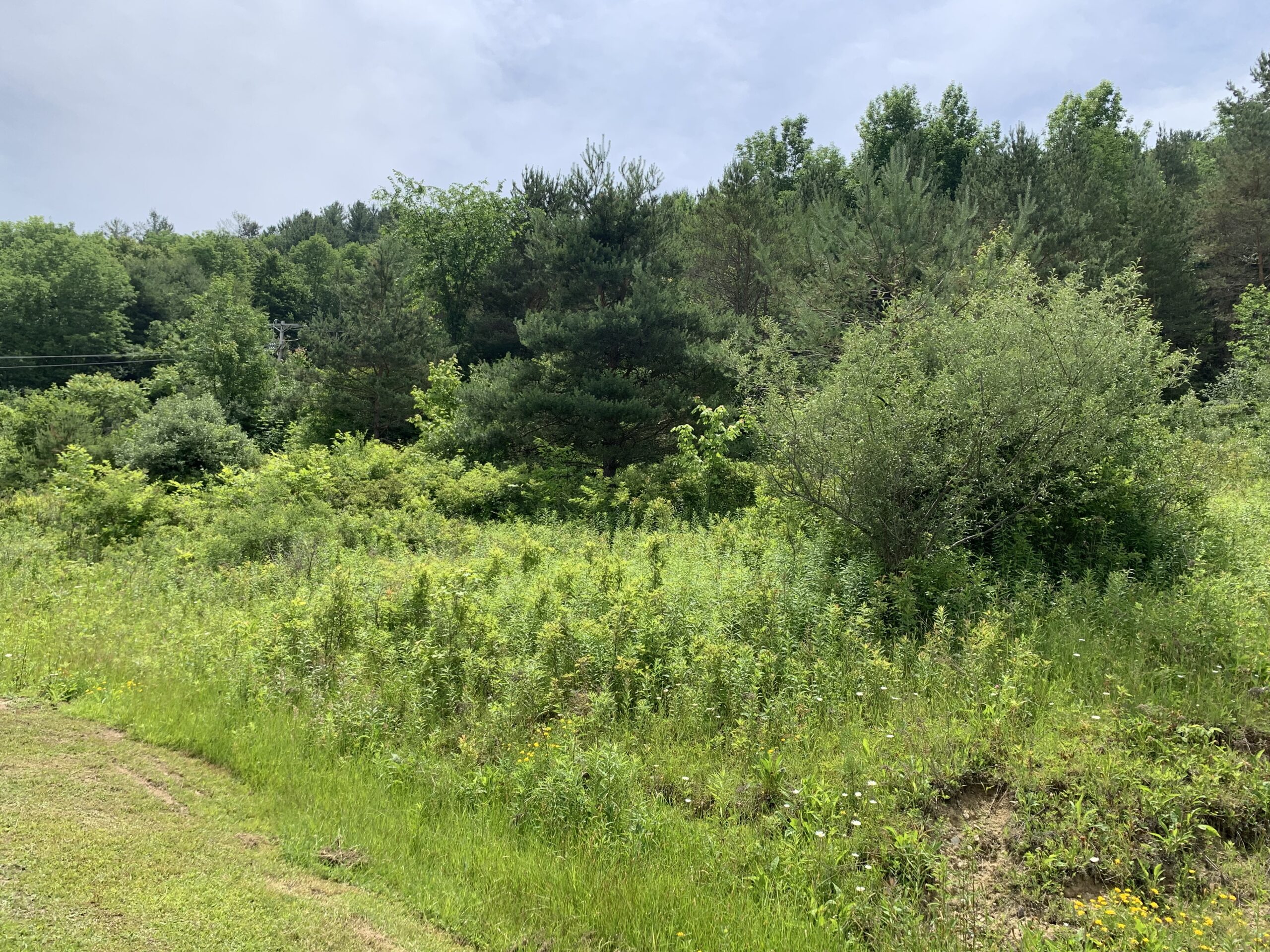 11 acres Building Lot with Barn in Cuba NY 9745 W. Main Road NY