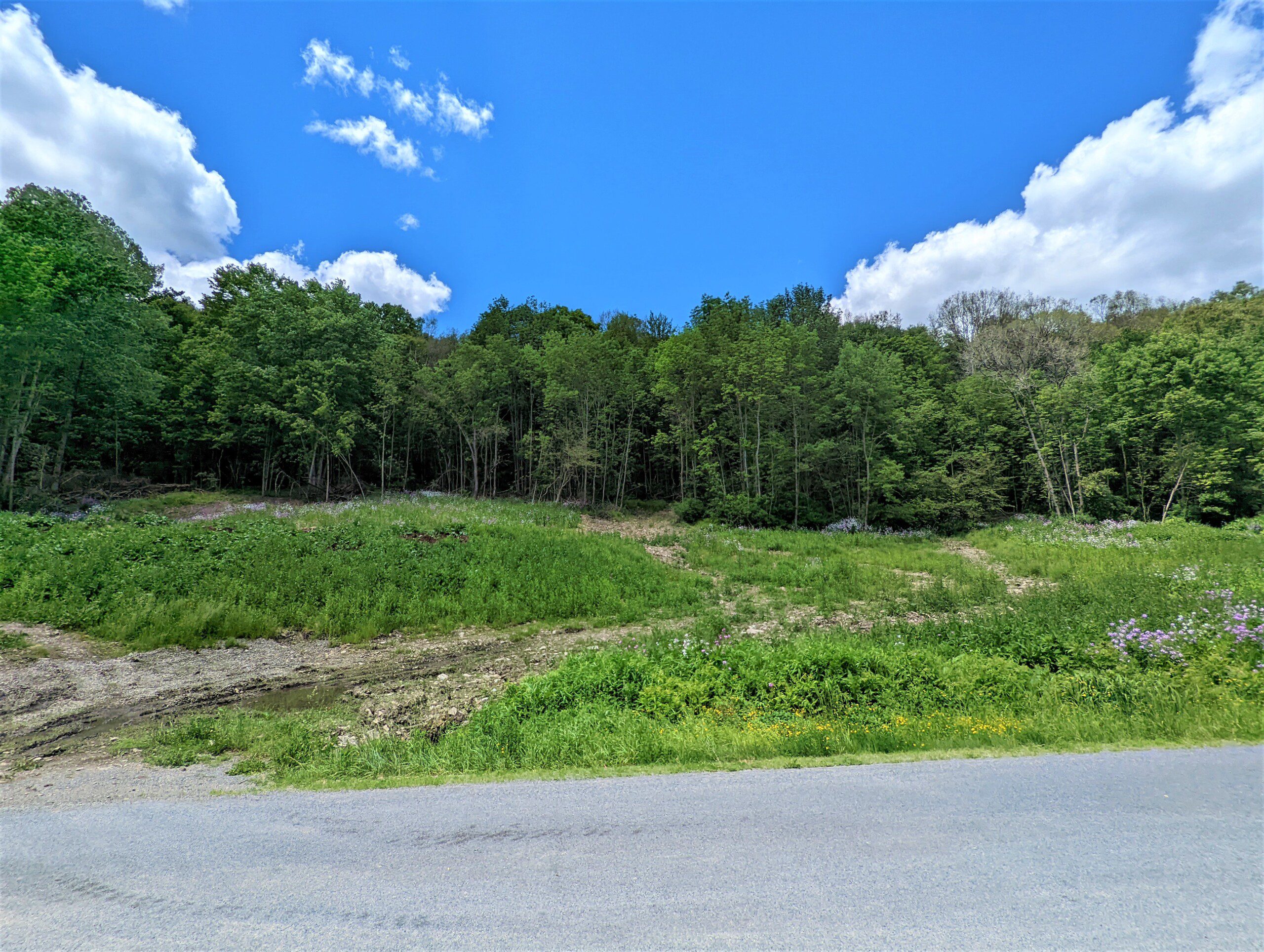 New York Land Quest 11 acres Building Lot and Timberland on Beeman