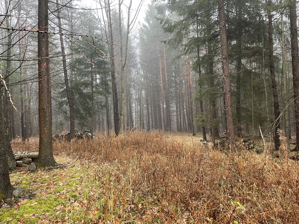 New York Land Quest 5 acre Building Lot and Recreational Land in West