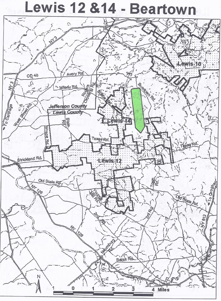 8 Acres for Sale in Lewis County New York NY LandQuest NY LandQuest