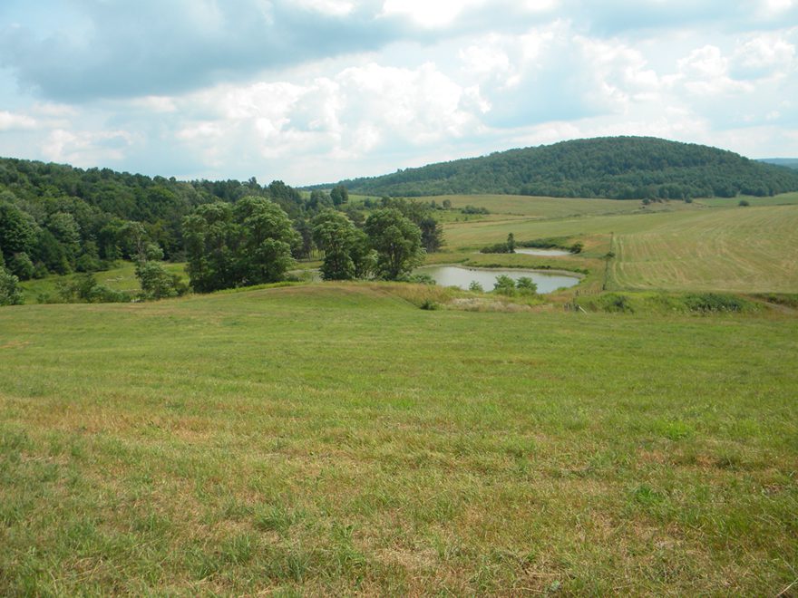 472 Acres for Sale in Otsego County New York NY LandQuest NY LandQuest