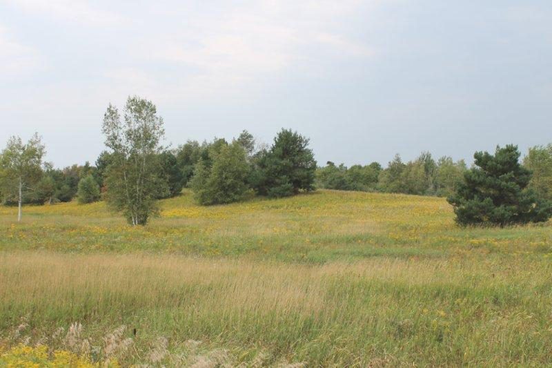 35 Acres for Sale in Jefferson County New York NY LandQuest NY LandQuest