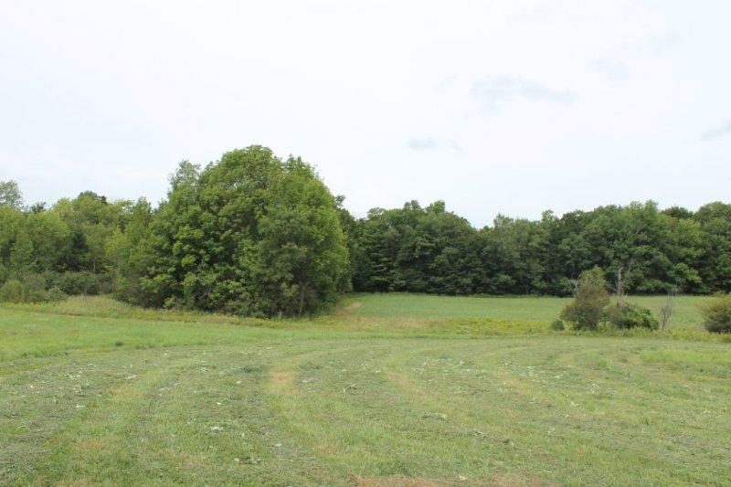 14.77 Acres for Sale in Oneida County New York NY LandQuest NY