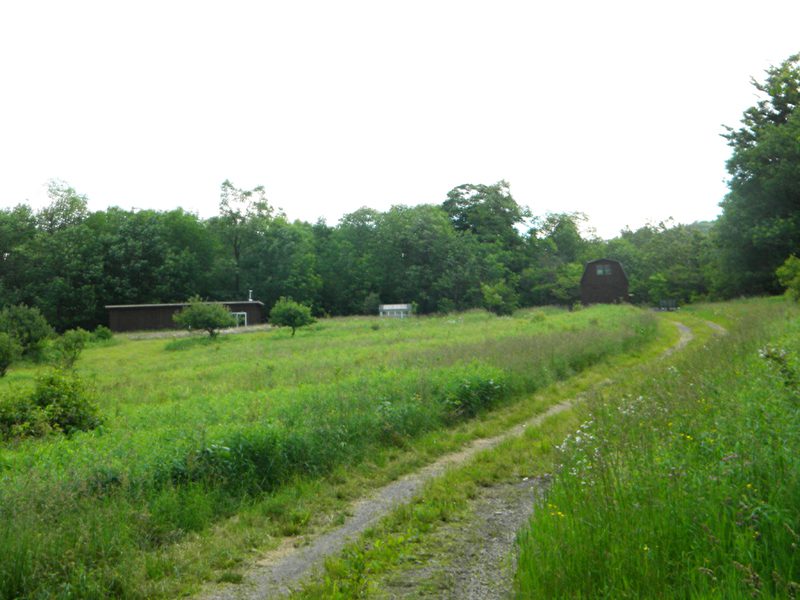 55.64 Acres for Sale in Cortland County New York NY LandQuest NY