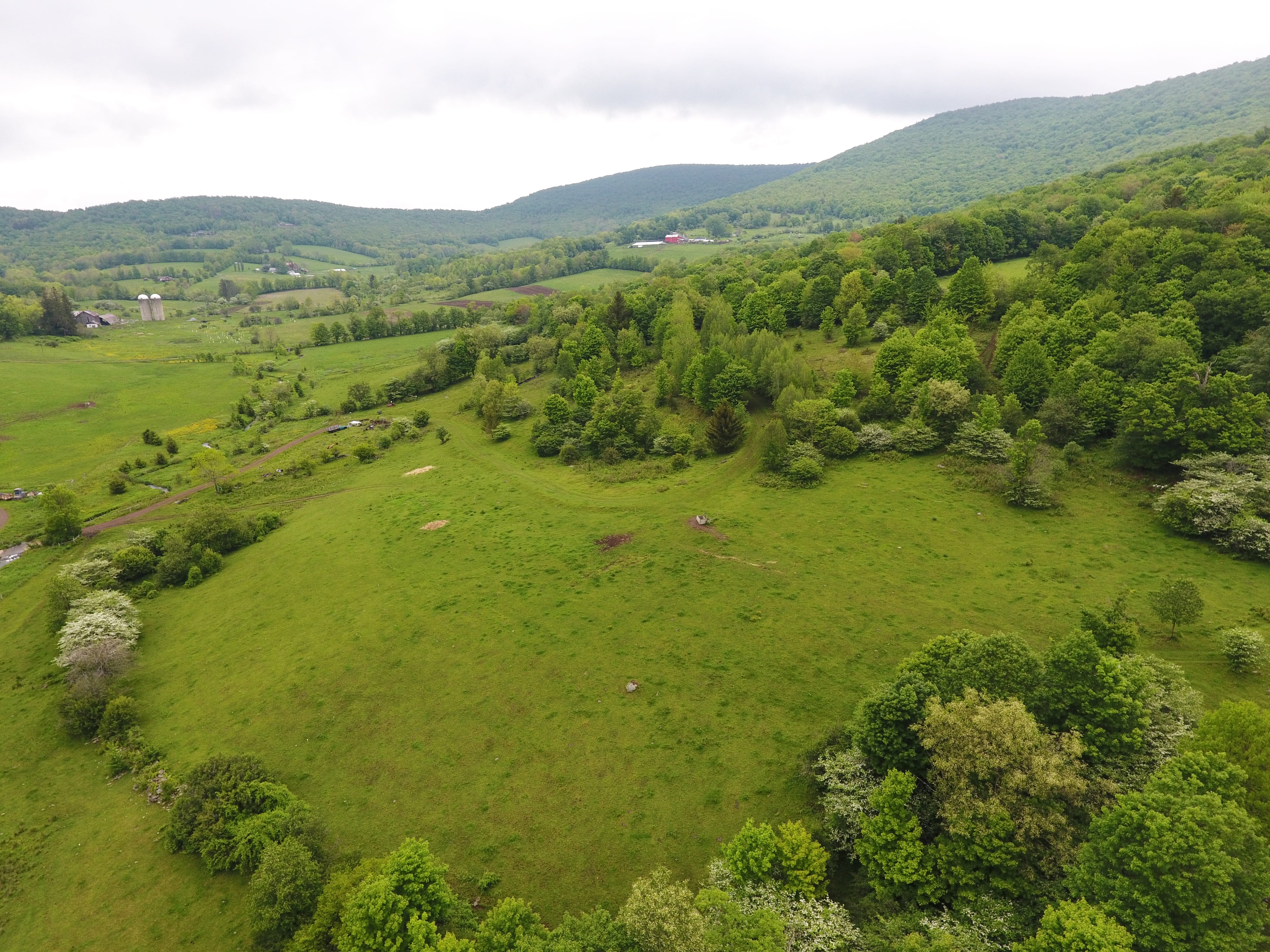 175 Acres Former Dairy Farm in Bovina NY 834 Crescent Valley Road NY