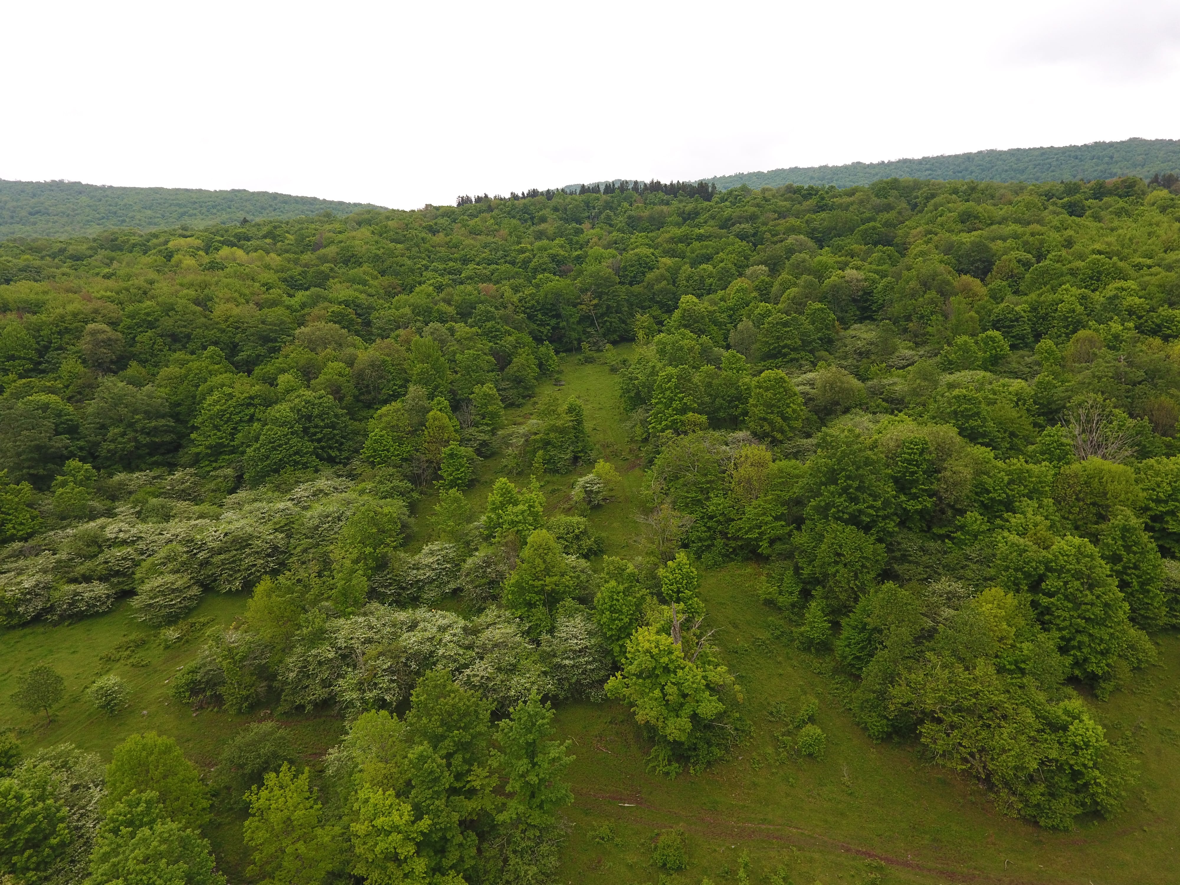 175 Acres Former Dairy Farm in Bovina NY 834 Crescent Valley Road NY
