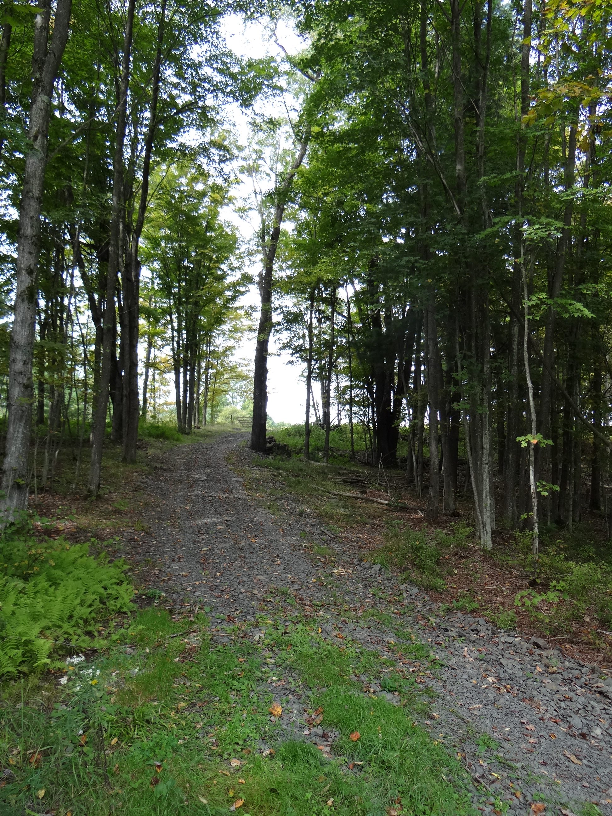 55 Acres with Cabin Bordering State Lands NY LandQuest NY LandQuest