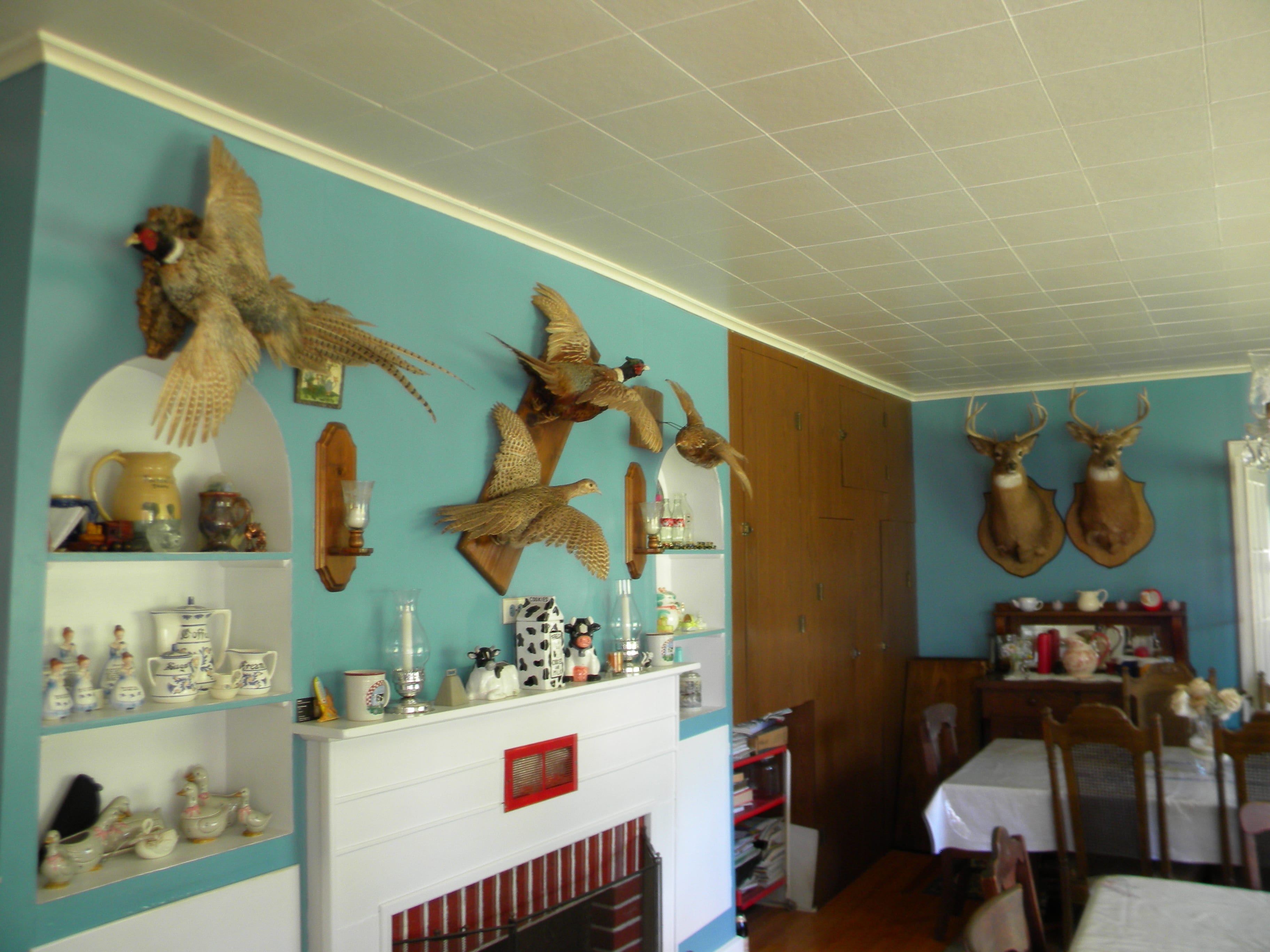 175 Acres Former Dairy Farm in Bovina NY 834 Crescent Valley Road NY