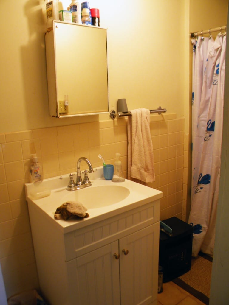 175 Acres Former Dairy Farm in Bovina NY 834 Crescent Valley Road NY