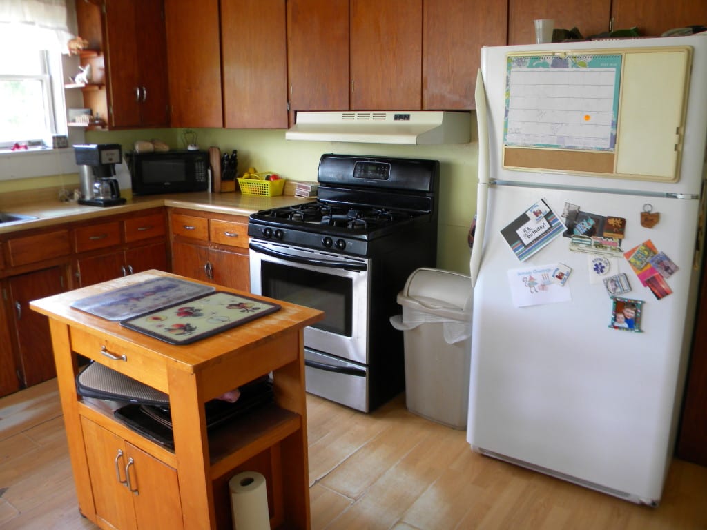 175 Acres Former Dairy Farm in Bovina NY 834 Crescent Valley Road NY