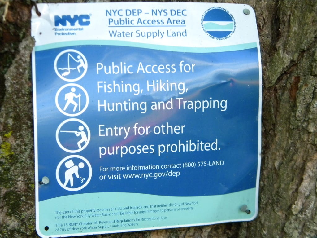 175 Acres Former Dairy Farm in Bovina NY 834 Crescent Valley Road NY