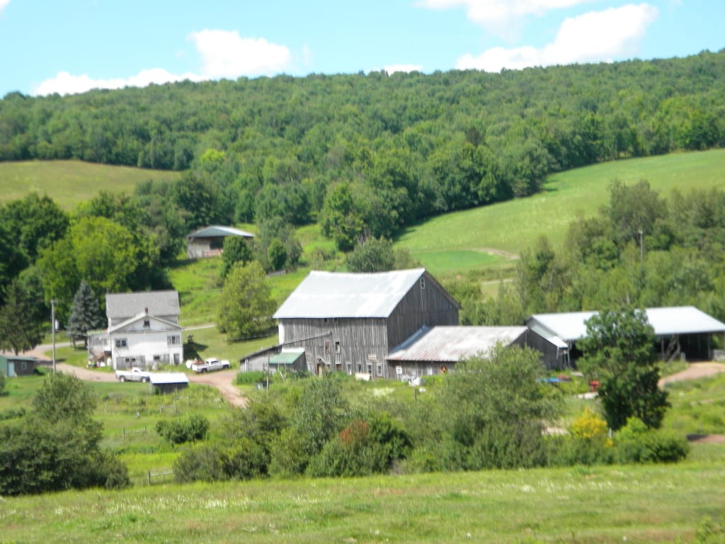 175 Acres Former Dairy Farm in Bovina NY 834 Crescent Valley Road NY