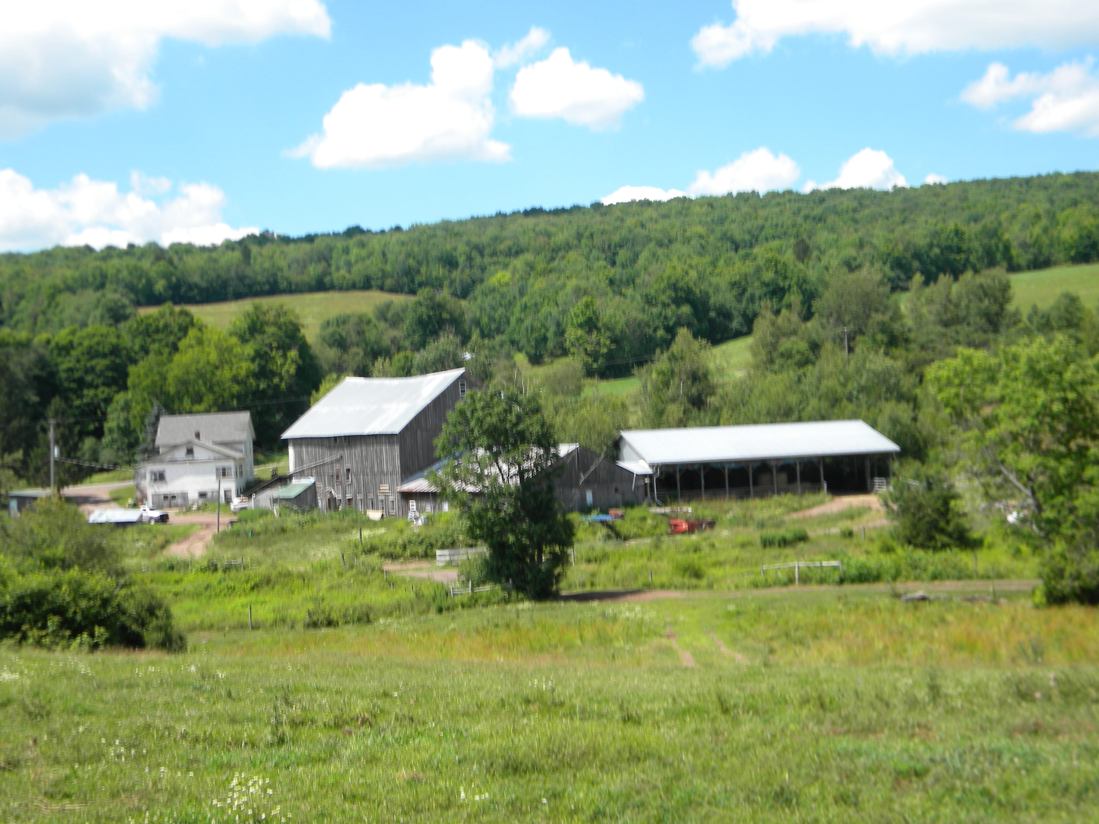 175 Acres Former Dairy Farm in Bovina NY 834 Crescent Valley Road NY