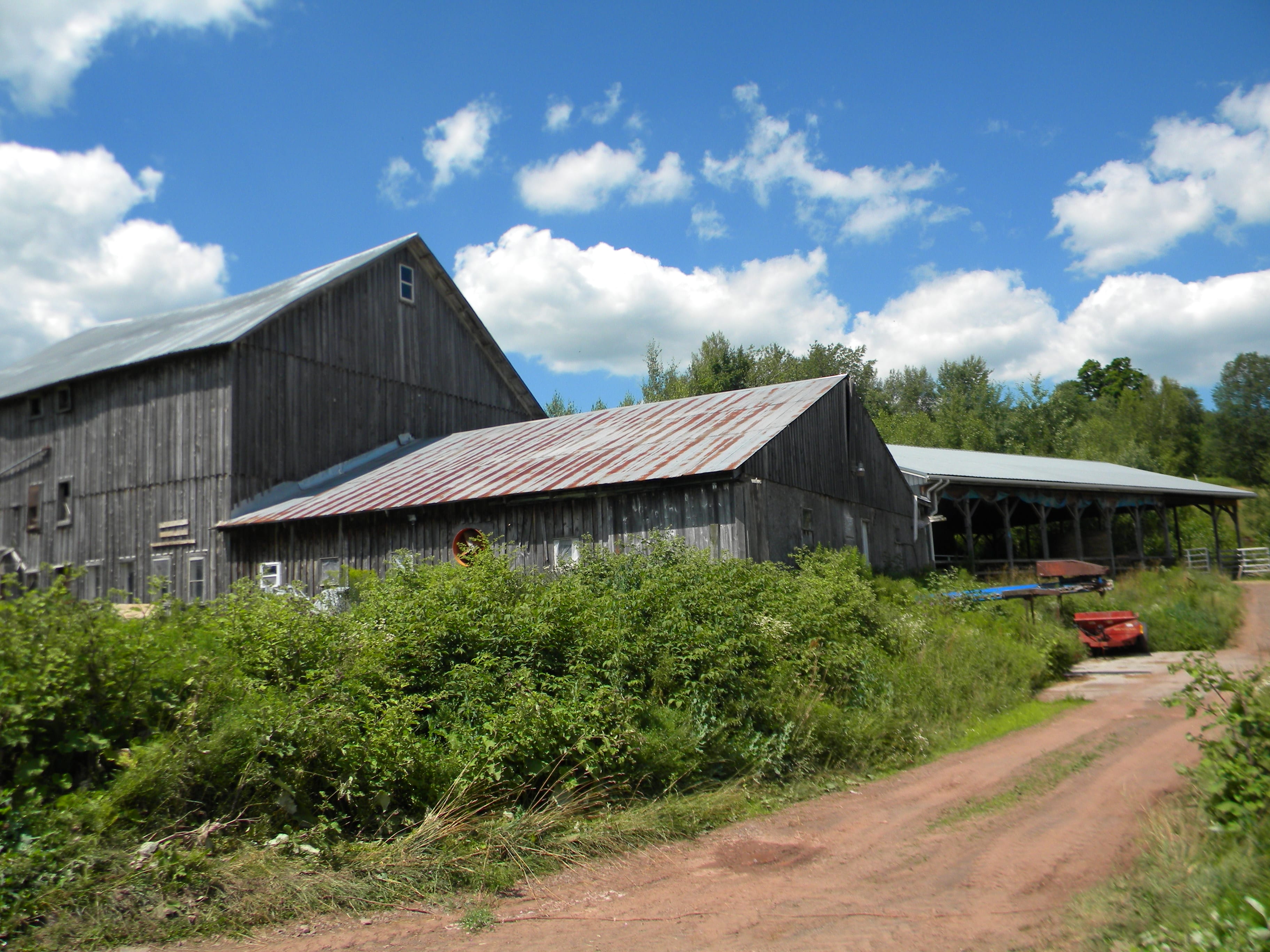 175 Acres Former Dairy Farm in Bovina NY 834 Crescent Valley Road NY