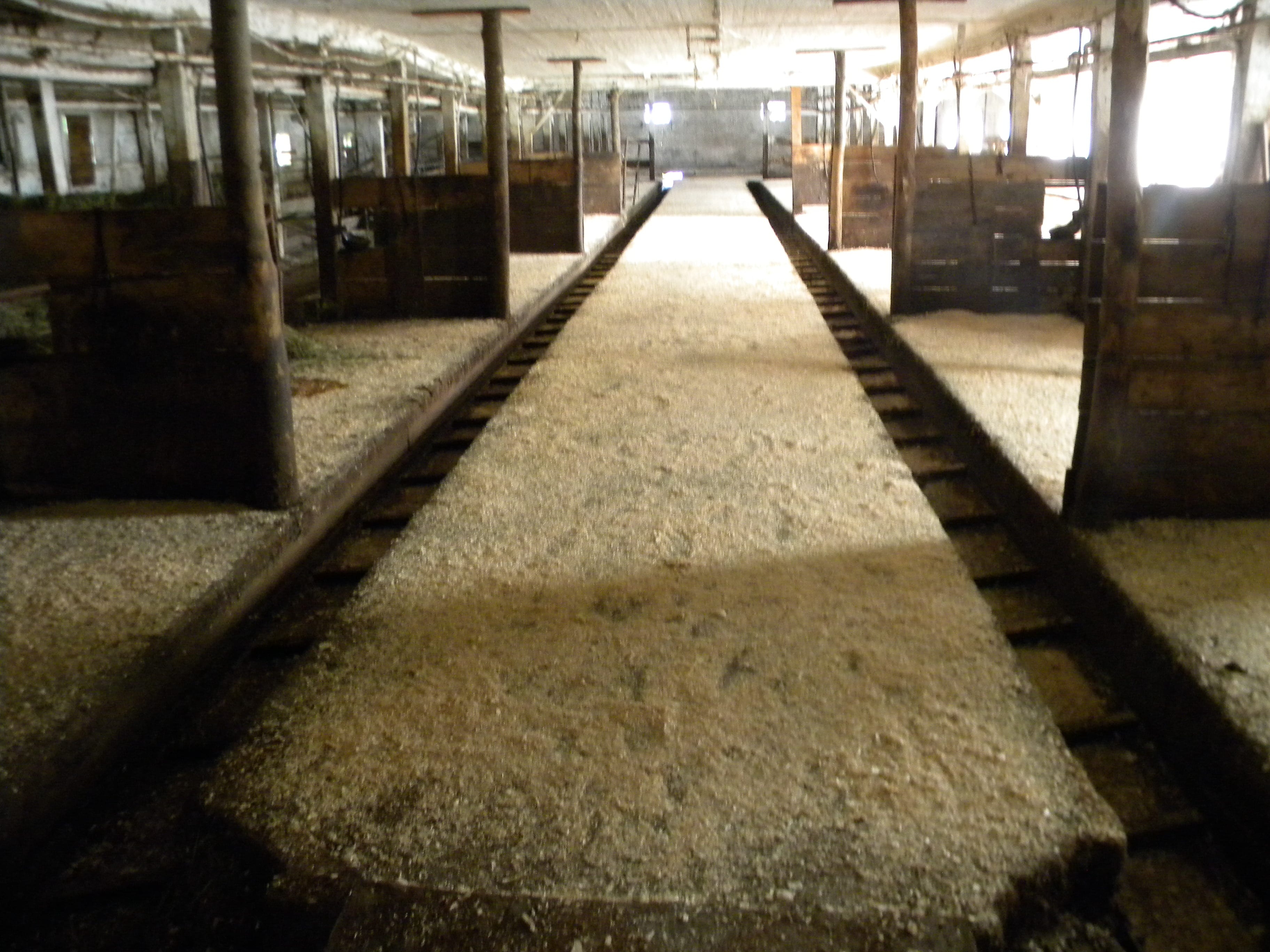 175 Acres Former Dairy Farm in Bovina NY 834 Crescent Valley Road NY