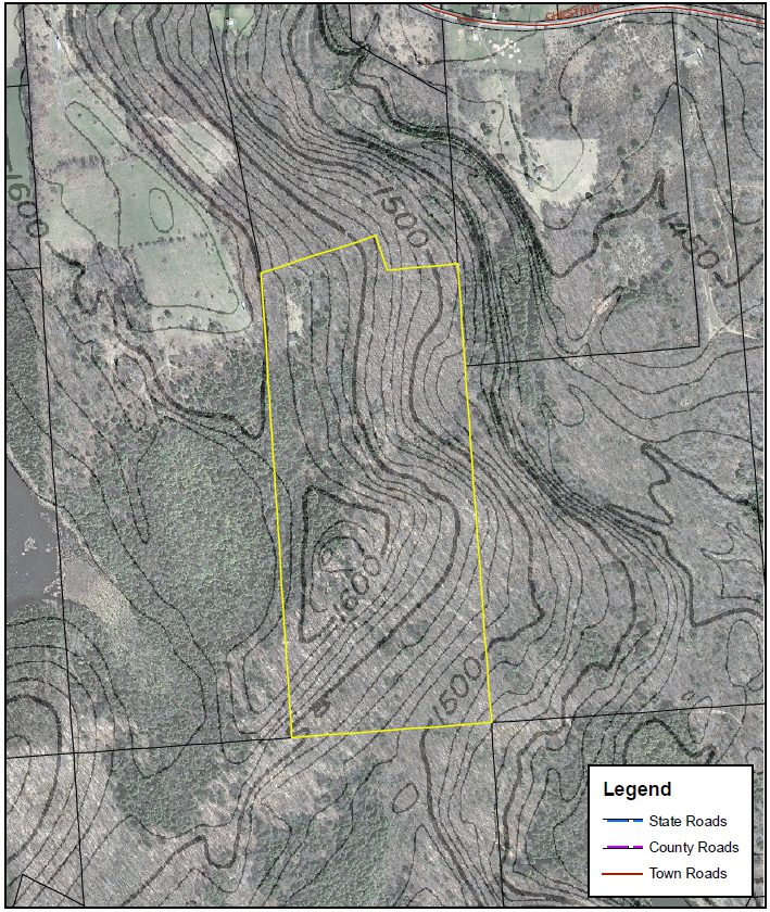 55 Acres with Cabin Bordering State Lands NY LandQuest NY LandQuest