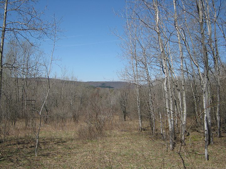 15 Acres for Sale in Cortland County New York NY LandQuest NY LandQuest