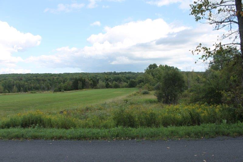Farmland with Owner Financing near Boonville NY 27 Acres NY LandQuest